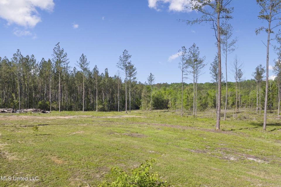  167 Cain Cemetery Rd, Perkinston, MS 39573 photo 31