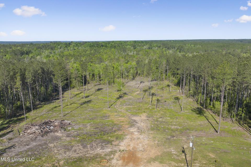  167 Cain Cemetery Rd, Perkinston, MS 39573 photo 32