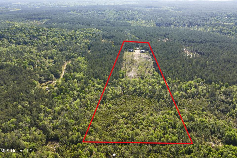  167 Cain Cemetery Rd, Perkinston, MS 39573 photo 35