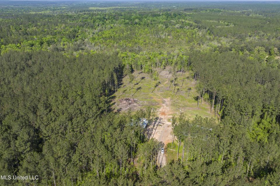  167 Cain Cemetery Rd, Perkinston, MS 39573 photo 34