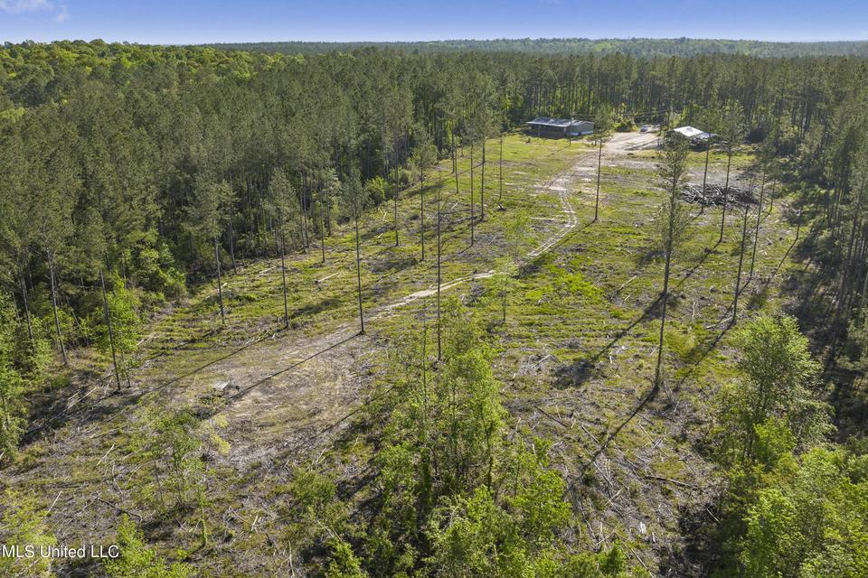  167 Cain Cemetery Rd, Perkinston, MS 39573 photo 33