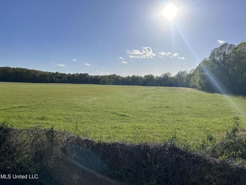 0 Mccauley Rd, Red Banks, MS 38661