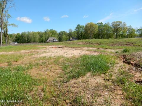 lot64 Star Cv, Byhalia, MS 38611