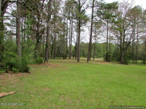 174 Fox Run Rd, Canton, MS 39046 photo 12