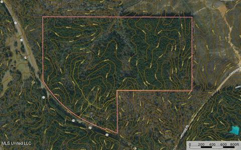 1168 Highway 413, Kilmichael, MS 39747 photo 2