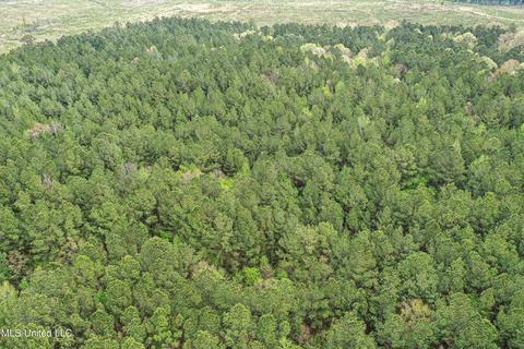 1168 Highway 413, Kilmichael, MS 39747 photo 22