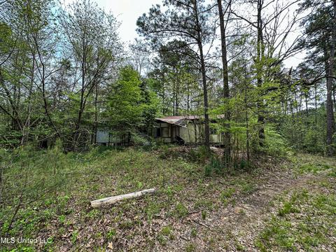 1168 Highway 413, Kilmichael, MS 39747 photo 56