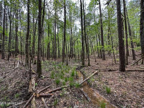 1168 Highway 413, Kilmichael, MS 39747 photo 47
