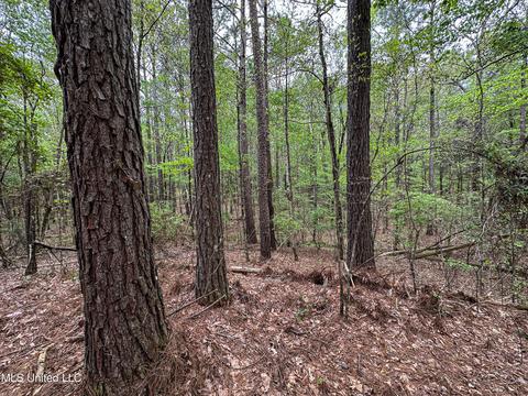 1168 Highway 413, Kilmichael, MS 39747 photo 14