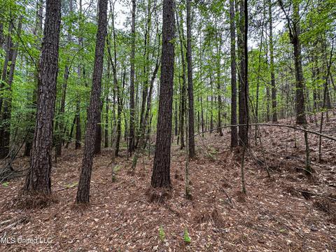 1168 Highway 413, Kilmichael, MS 39747 photo 35