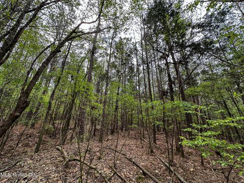 1168 Highway 413, Kilmichael, MS 39747 photo 43