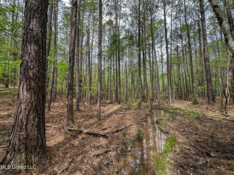 1168 Highway 413, Kilmichael, MS 39747 photo 18