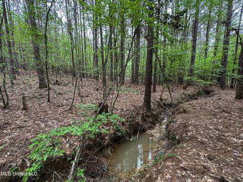 1168 Highway 413, Kilmichael, MS 39747 photo 20