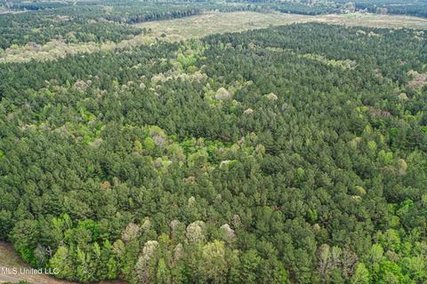 1168 Highway 413, Kilmichael, MS 39747 photo 17