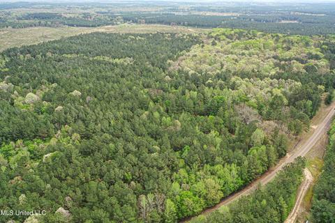 1168 Highway 413, Kilmichael, MS 39747 photo 13