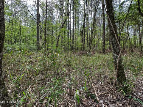 1168 Highway 413, Kilmichael, MS 39747 photo 39