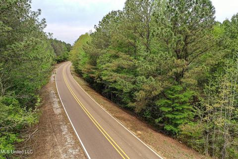 1168 Highway 413, Kilmichael, MS 39747 photo 27