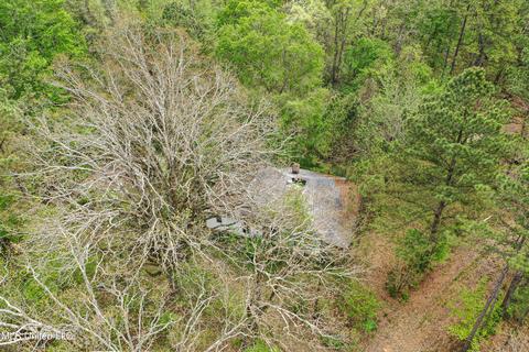 1168 Highway 413, Kilmichael, MS 39747 photo 30