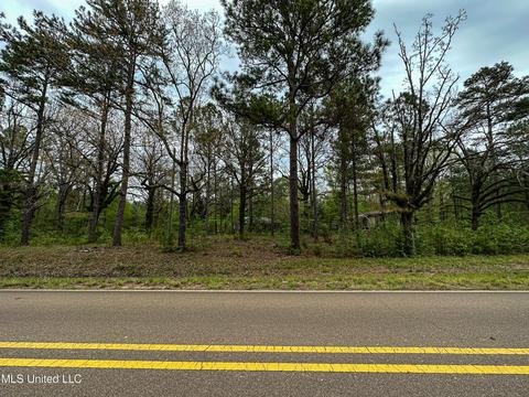 1168 Highway 413, Kilmichael, MS 39747 photo 16