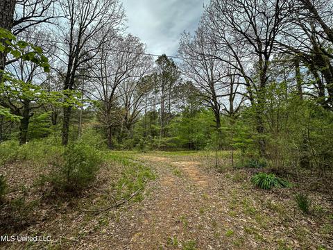 1168 Highway 413, Kilmichael, MS 39747 photo 5