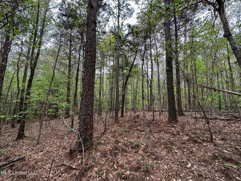 1168 Highway 413, Kilmichael, MS 39747 photo 34