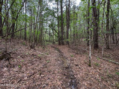 1168 Highway 413, Kilmichael, MS 39747 photo 49