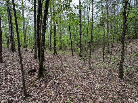 1168 Highway 413, Kilmichael, MS 39747 photo 48