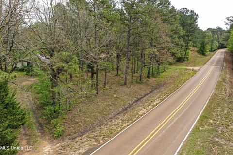 1168 Highway 413, Kilmichael, MS 39747 photo 3