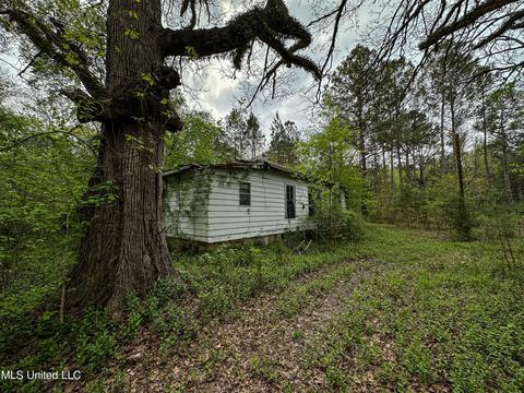1168 Highway 413, Kilmichael, MS 39747 photo 54