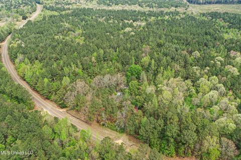 1168 Highway 413, Kilmichael, MS 39747 photo 1