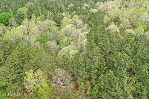 1168 Highway 413, Kilmichael, MS 39747 photo 26