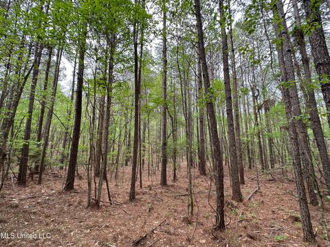1168 Highway 413, Kilmichael, MS 39747 photo 46