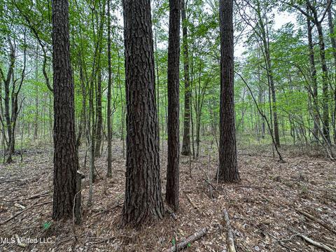 1168 Highway 413, Kilmichael, MS 39747 photo 12