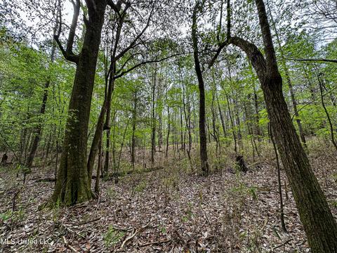 1168 Highway 413, Kilmichael, MS 39747 photo 37