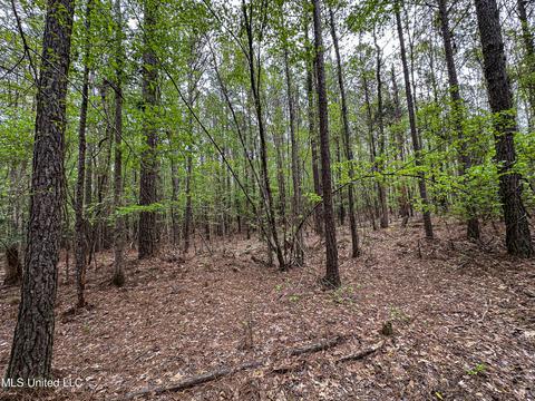 1168 Highway 413, Kilmichael, MS 39747 photo 42