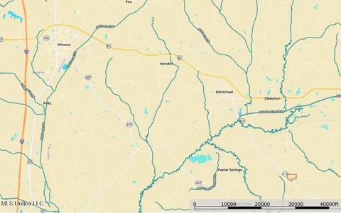 1168 Highway 413, Kilmichael, MS 39747 photo 11