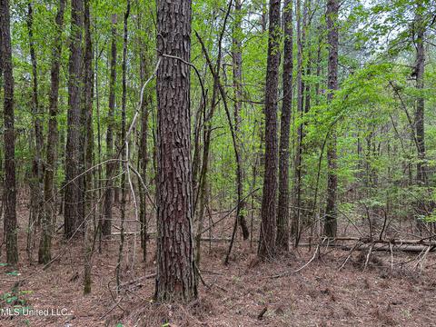 1168 Highway 413, Kilmichael, MS 39747 photo 31