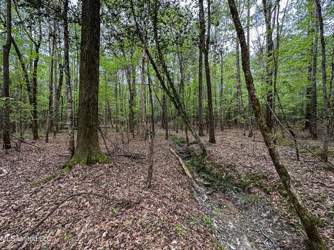 1168 Highway 413, Kilmichael, MS 39747 photo 10