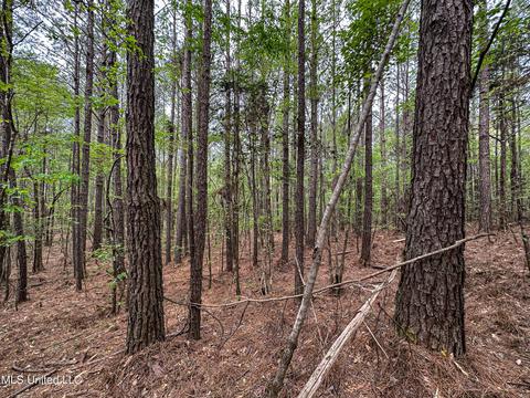 1168 Highway 413, Kilmichael, MS 39747 photo 45