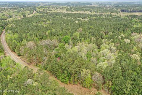 1168 Highway 413, Kilmichael, MS 39747 photo 25