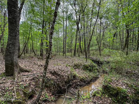 1168 Highway 413, Kilmichael, MS 39747 photo 38