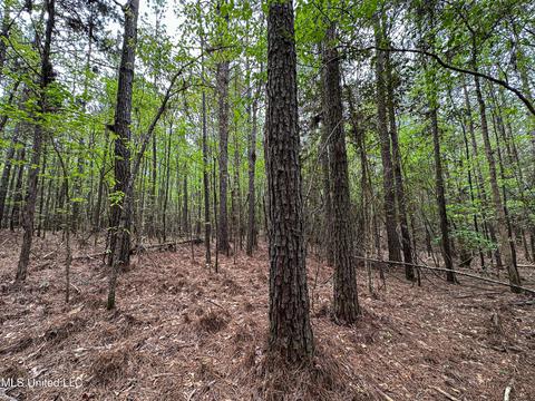 1168 Highway 413, Kilmichael, MS 39747 photo 44