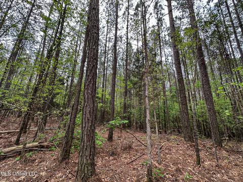 1168 Highway 413, Kilmichael, MS 39747 photo 41