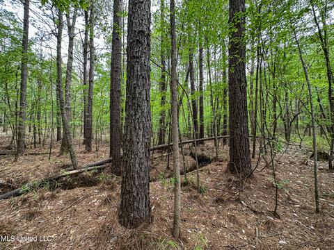 1168 Highway 413, Kilmichael, MS 39747 photo 36