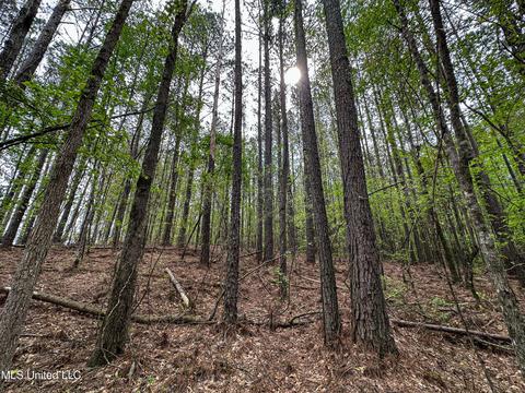 1168 Highway 413, Kilmichael, MS 39747 photo 4
