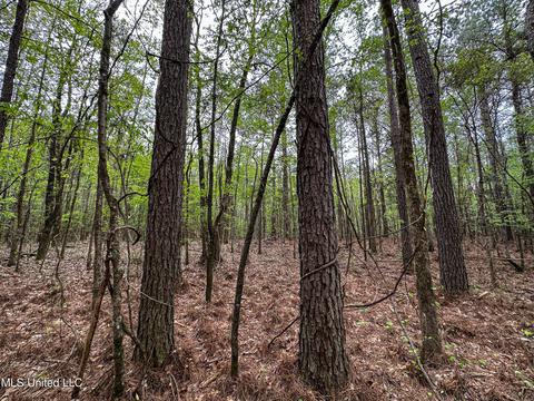 1168 Highway 413, Kilmichael, MS 39747 photo 7