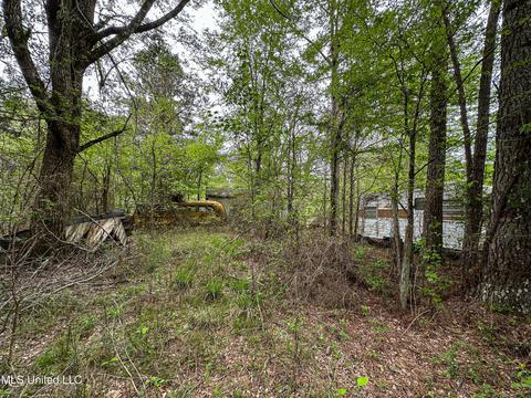 1168 Highway 413, Kilmichael, MS 39747 photo 50