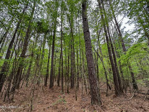 1168 Highway 413, Kilmichael, MS 39747 photo 32