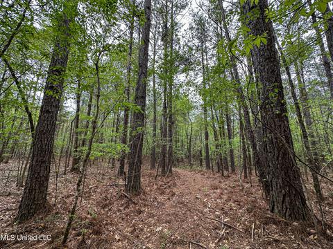 1168 Highway 413, Kilmichael, MS 39747 photo 33