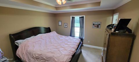 793 W Mchenry Rd, Mchenry, MS 39561 photo 11